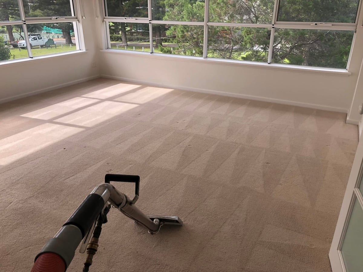 Carpet Cleaning