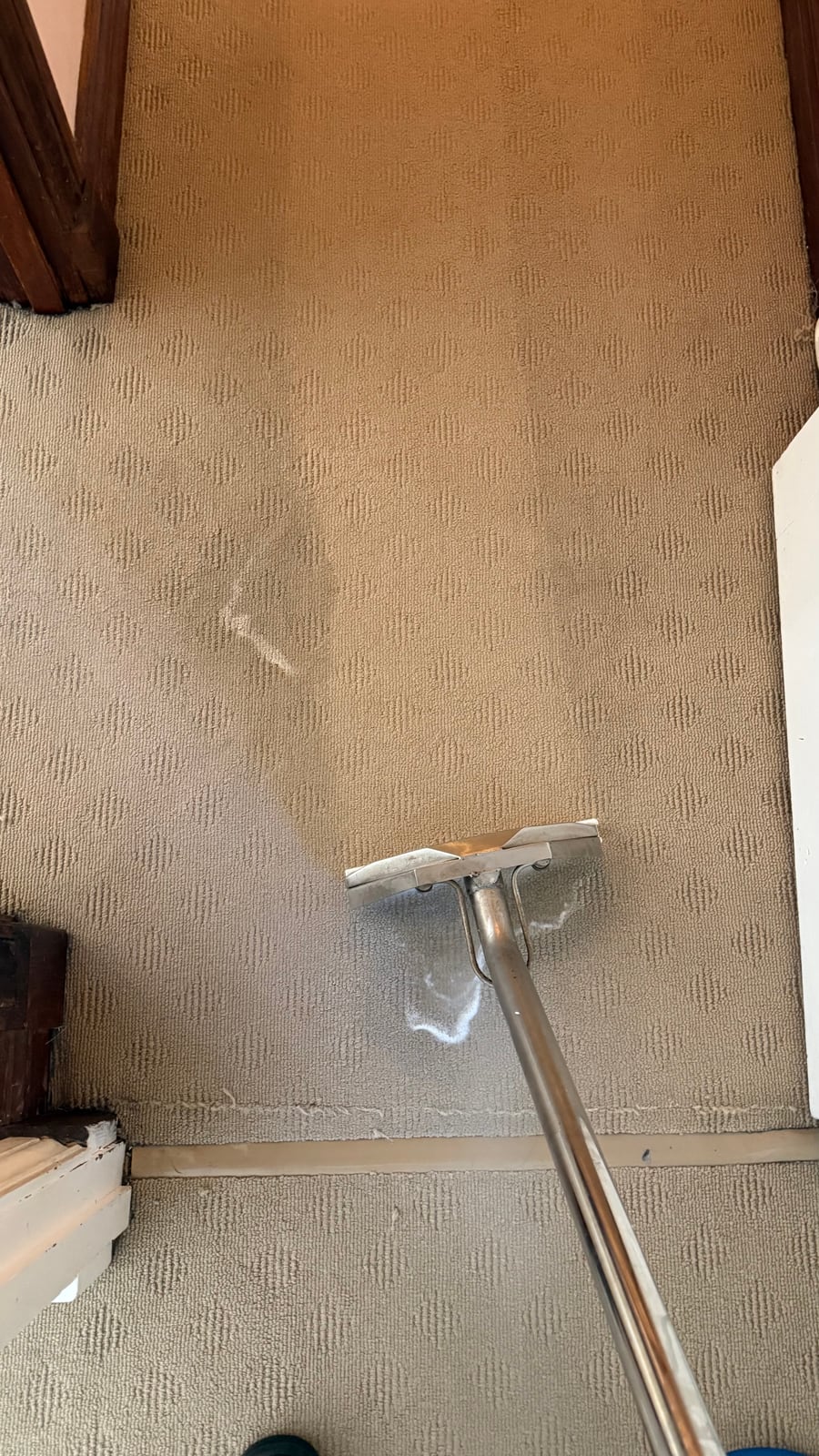 Steam Carpet Cleaning