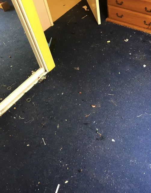 Blue carpet — before cleaning