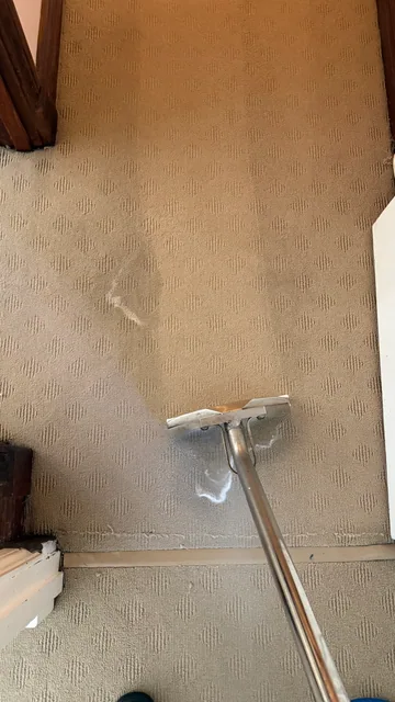 Carpet extraction cleaning in progress