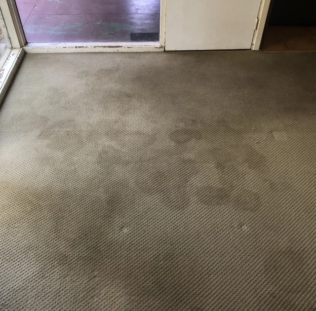 Carpet near patio doors — before cleaning