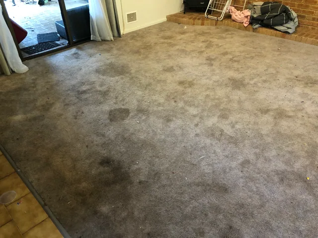 Living room carpet — before cleaning