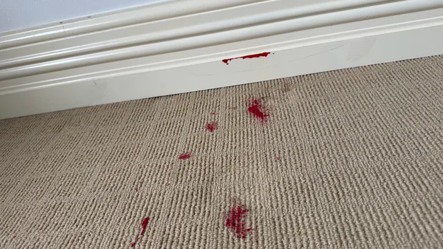 Makeup stains — before treatment