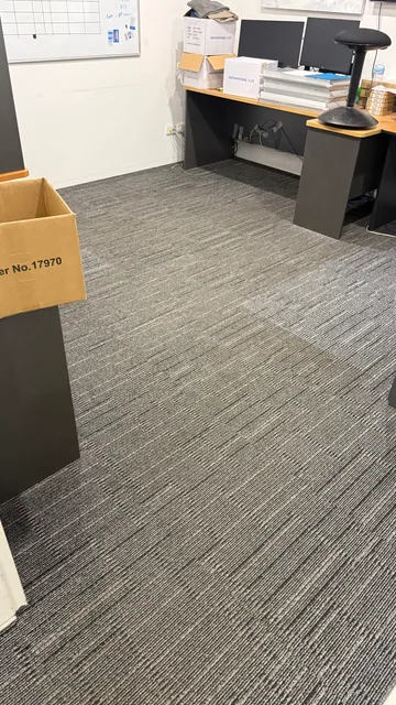 Office carpet — before cleaning